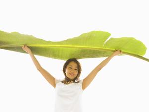 京都二条城前駅から徒歩6分！東横INN京都二条城南の魅力と詳細情報