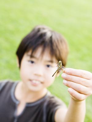 鹿児島市のクレーンゲーム御の攻略法と最新トレンド2026