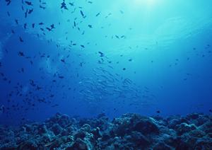 燕三条駅から徒歩わずか4分の便利なアクセス！東横INN燕三条駅前の魅力と特徴