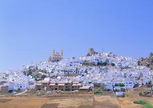 東横INN埼玉戸田公園駅西口の魅力と概要｜快適なビジネス・観光拠点の詳細解説