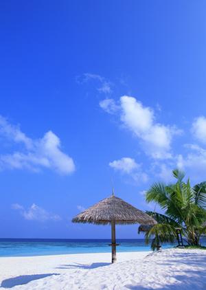 横浜駅から徒歩7分！快適でコスパ抜群の東横INN横浜駅西口の魅力と詳細情報