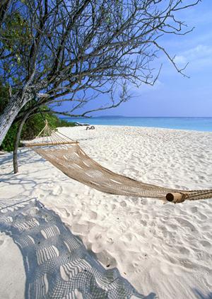 横浜市営地下鉄センター南駅から徒歩6分！快適な滞在を約束する【東横INN横浜センター南駅】の魅力と詳細情報
