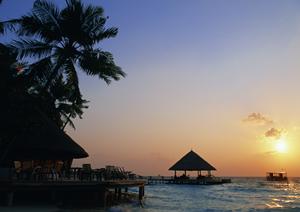 【公式レビュー】東横INN品川旗の台駅南口の魅力と特徴を徹底解説