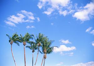 沖縄の快適なビジネス滞在をサポート！東横INN那覇旭橋駅前の魅力と特徴